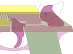 20090706Tammary 8000IHH.png