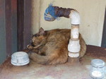 20100904usami_04.JPG