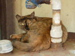 20100904usami_05.JPG