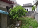 s-P1050455.jpg