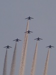 s-s-DSC06574.jpg